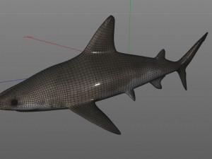 sandbar shark low poly 3D Model