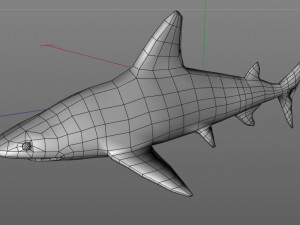 sandbar shark low poly 3D Model