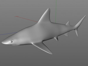 sandbar shark low poly 3D Model