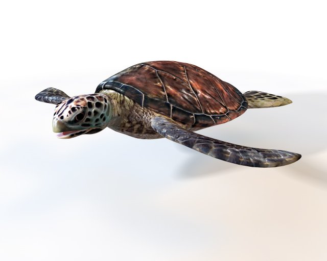 sea turtle rigged low poly Modelo 3D .c4d .max .obj .3ds .fbx .stl .blend 