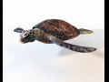 Sea Turtle Rigged Low Poly Modello 3D
