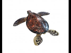 sea turtle rigged low poly 3D Model