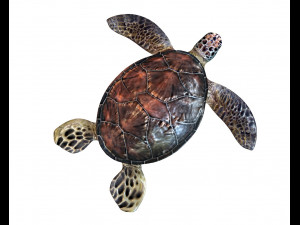 sea turtle rigged low poly Modelo 3D