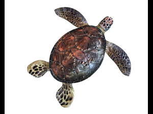 sea turtle rigged low poly 3D Model
