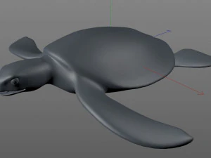 sea turtle rigged low poly 3D Model