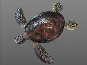 sea turtle rigged low poly Modelo 3D