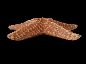 star fish v2 rigged low poly 3D मॉडल