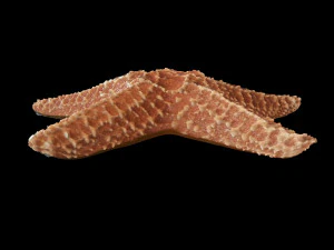 star fish v2 rigged low poly 3D Model