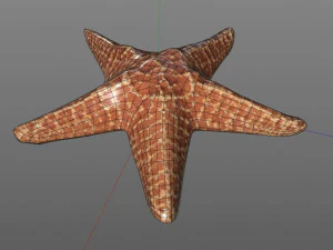 star fish v2 rigged low poly 3D Model