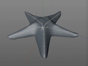 star fish v2 rigged low poly 3D Model