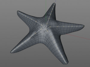 star fish v3 rigged low poly Modelo 3D