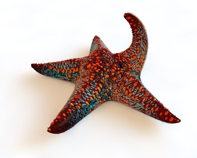 star fish v4 rigged low poly 3D Модель .c4d .max .obj .3ds .fbx .stl .blend 