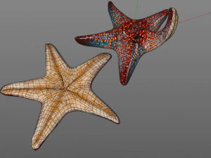 star fish v4 equipado com baixo poli Modelo 3D