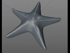star fish v5 rigged low poly 3D Model