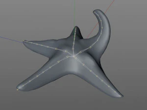 star fish v5 rigged low poly 3D Model