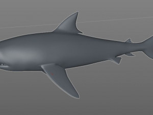 tiger shark rigged low poly 3D Модель