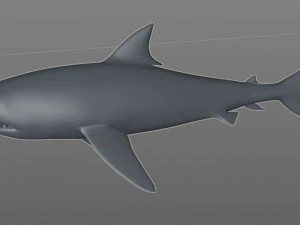 tiger shark rigged low poly 3D Model