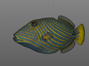 undulate trigger fish low poly Model 3D