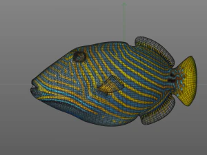 undulate trigger fish low poly 3D Model