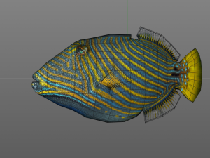 undulate trigger fish low poly Model 3D