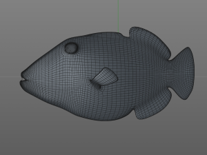 undulate trigger fish low poly Model 3D