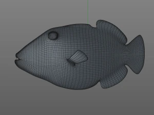 undulate trigger fish low poly 3D Model