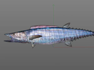 wahoo fish low poly 3D Model