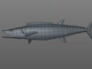 wahoo fish low poly Modello 3D