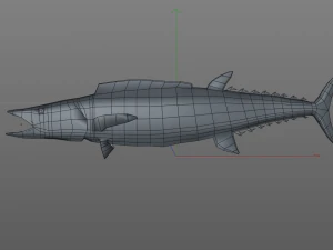 wahoo fish low poly 3D Model