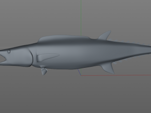 wahoo fish low poly Modello 3D