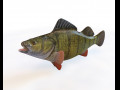 Yellow Perch Fish Low Poly 3D Model