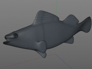 yellow perch fish low poly 3D Model