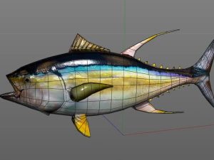 yellow fin tuna fish low poly 3D Model