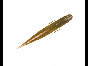 yellow head wrasse fish low poly 3D Model