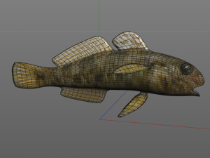 frillfin goby fish low poly 3D Model