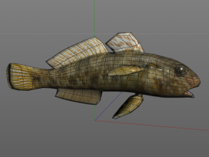 frillfin goby fish low poly 3D Model