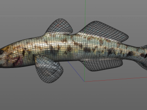 gobiidae river goby awaous banana fish low poly Model 3D