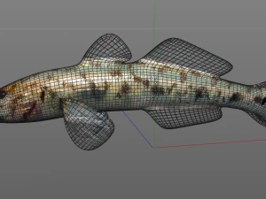 ハゼ科 川 ハゼ 目を覚ます バナナフィッシュ 低ポリ 3Dモデル