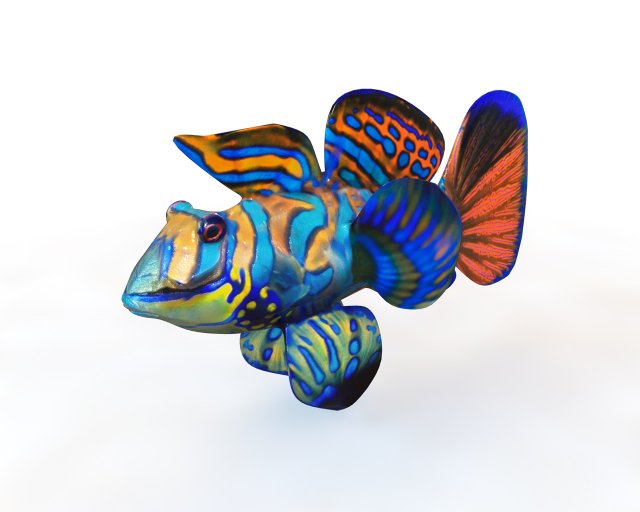 mandarin dragonet goby fish low poly 3D Model .c4d .max .obj .3ds .fbx .stl .blend 