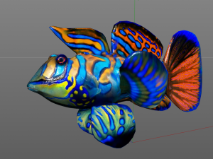 mandarin dragonet goby fish low poly 3D Model