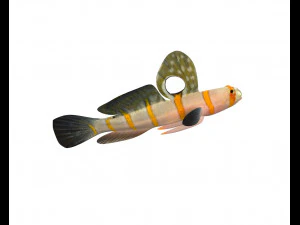 randalls goby fish low poly 3D Model