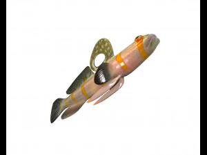 randalls goby fish low poly 3D Model