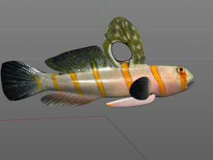 randalls goby fish low poly 3D Model