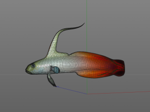 red fire goby fish low poly 3D Model