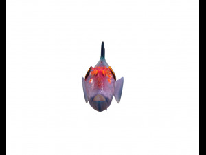 red head goby fish keeper low poly 3Dモデル
