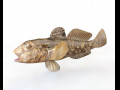 Round Goby Fish Low Poly 3D Model