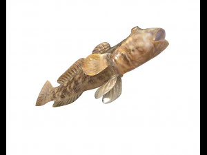 round goby fish low poly 3D Model