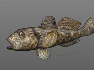 round goby fish low poly 3D Model