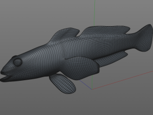 sleeper golden head goby fish low poly 3Dモデル