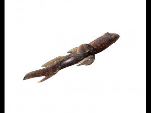 triple tooth goby fish low poly 3D 모델